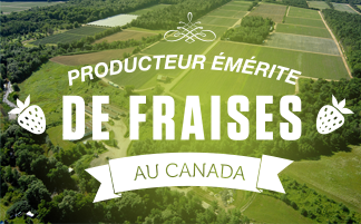 Producteur émérite de fraises au Canada