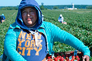 Cueilleuse de fraises avec un panier