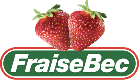 FraiseBec - Producteur de Fraises - Auto-cueillette