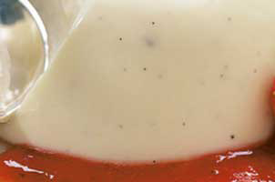 Panna cotta et coulis de fraises